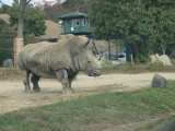 img0023.jpg