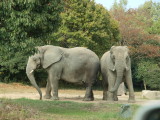 img0026.jpg