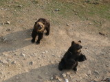 img0028.jpg