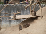img0034.jpg