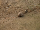 img0036.jpg