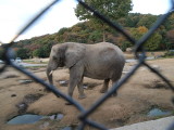 img0038.jpg