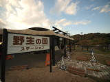img0046.jpg