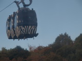 img0048.jpg