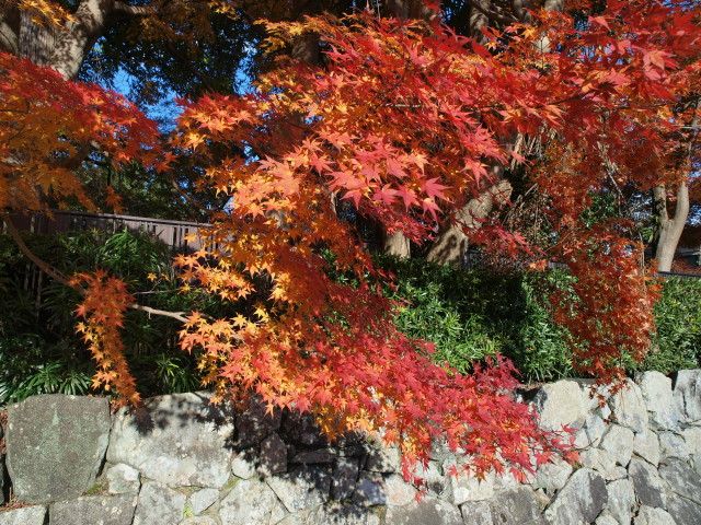 img0018.jpg
