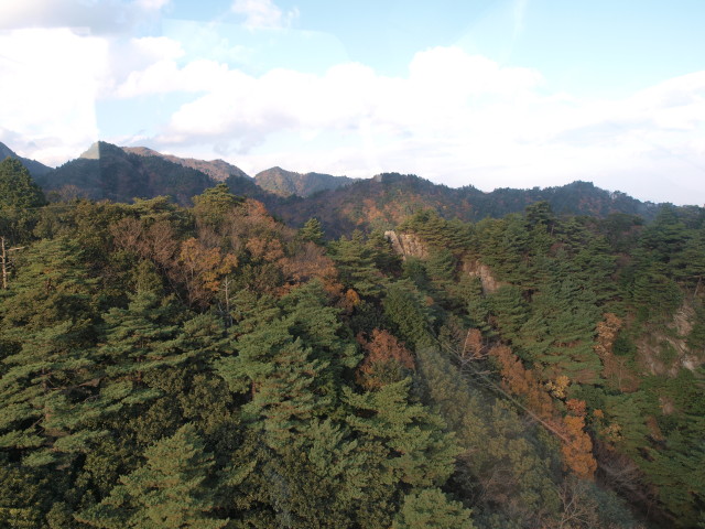 img0030.jpg