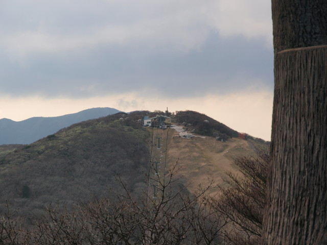 img0049.jpg