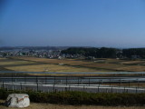 img0003.jpg