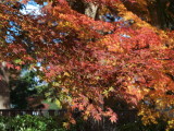 img0017.jpg