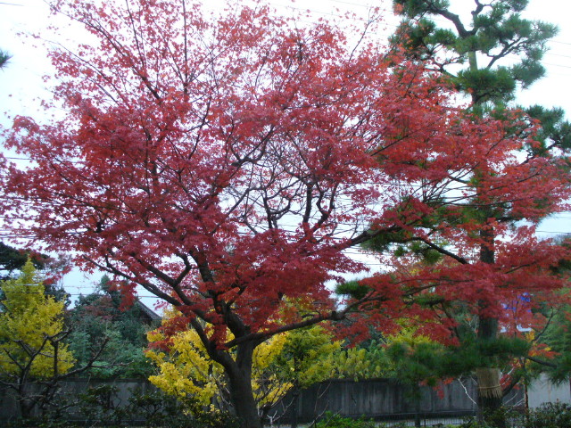 img0003.jpg
