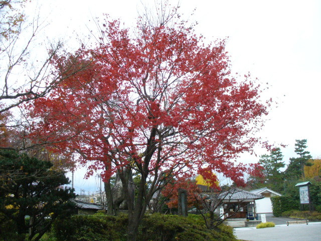 img0004.jpg