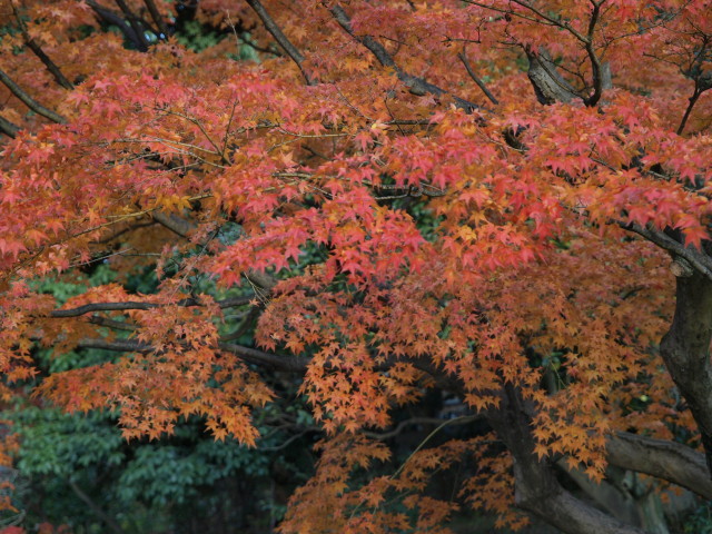 img0041.jpg