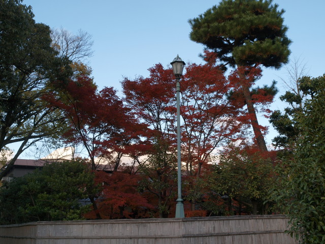 img0043.jpg