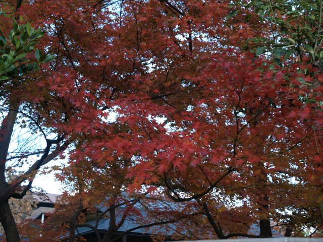 img0044.jpg