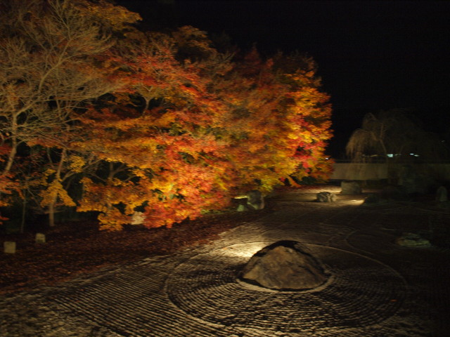 img0068.jpg