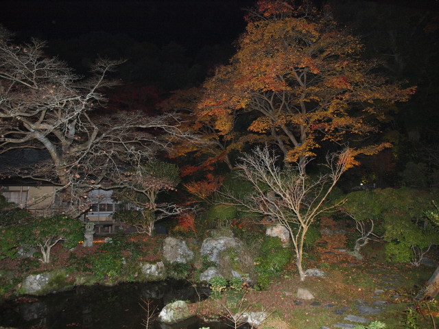 img0075.jpg