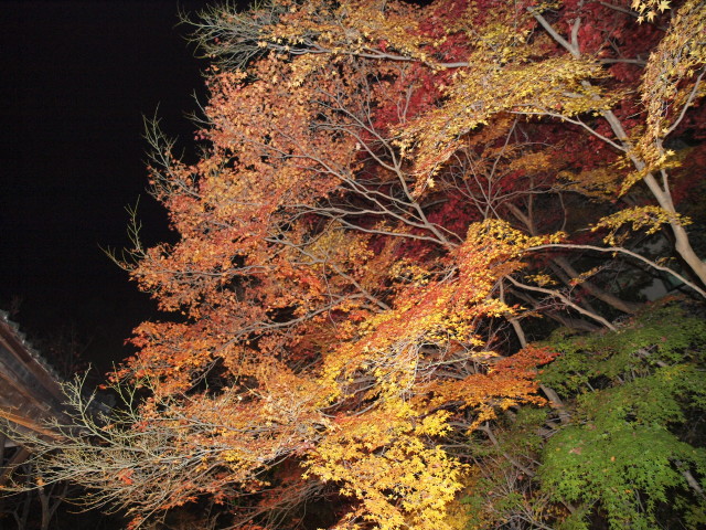 img0078.jpg