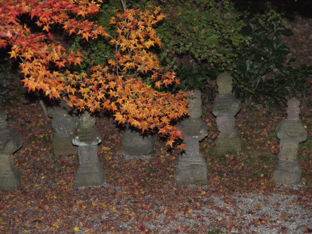 img0080.jpg
