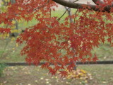 img0014.jpg