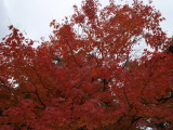 img0018.jpg