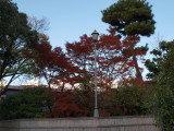 img0043.jpg