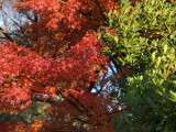 img0054.jpg