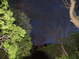 img0056.jpg