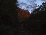 img0057.jpg