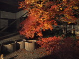img0063.jpg