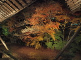 img0065.jpg