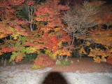 img0070.jpg