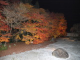 img0071.jpg