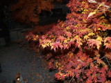 img0084.jpg