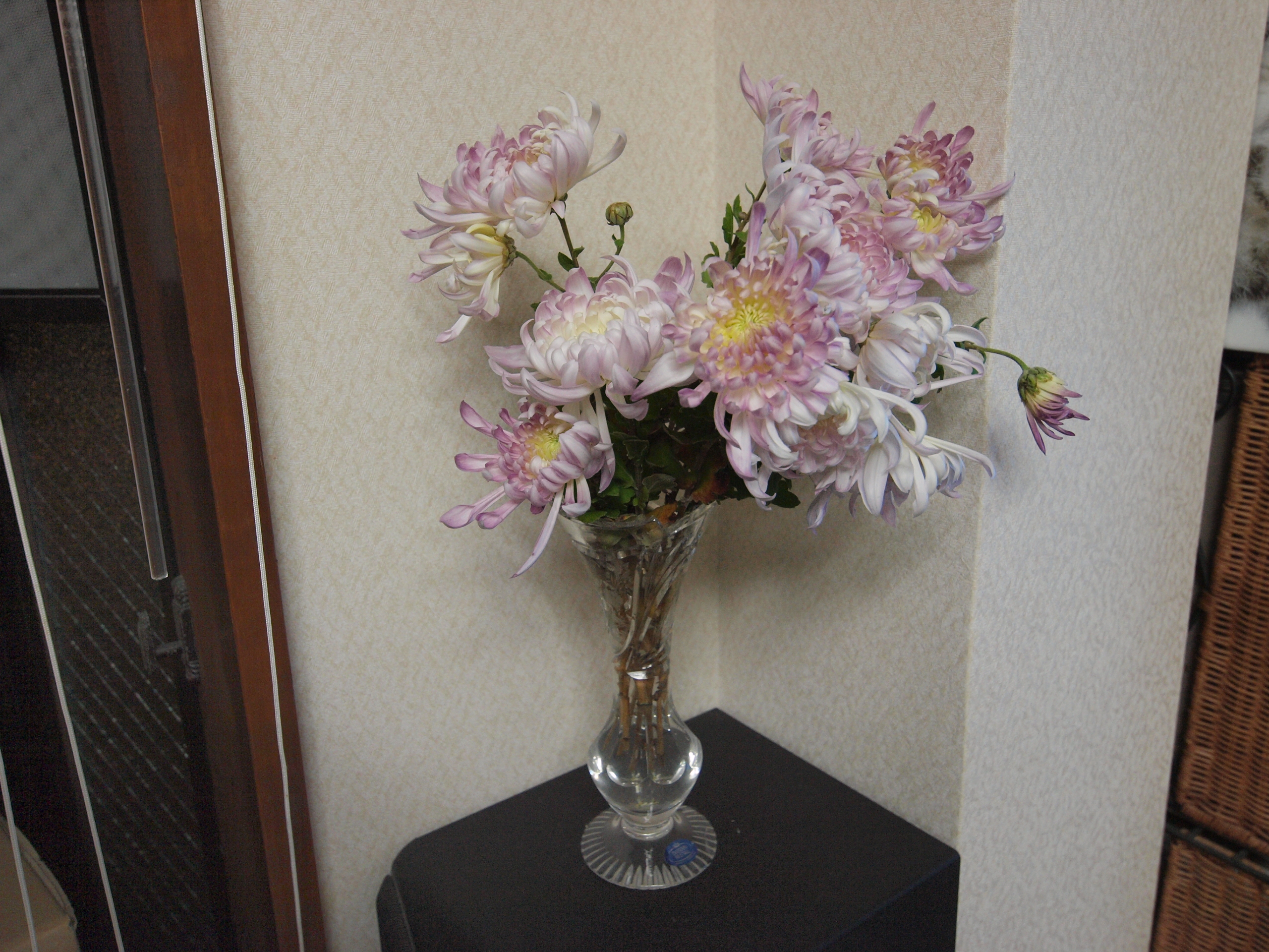 PC102480.JPG