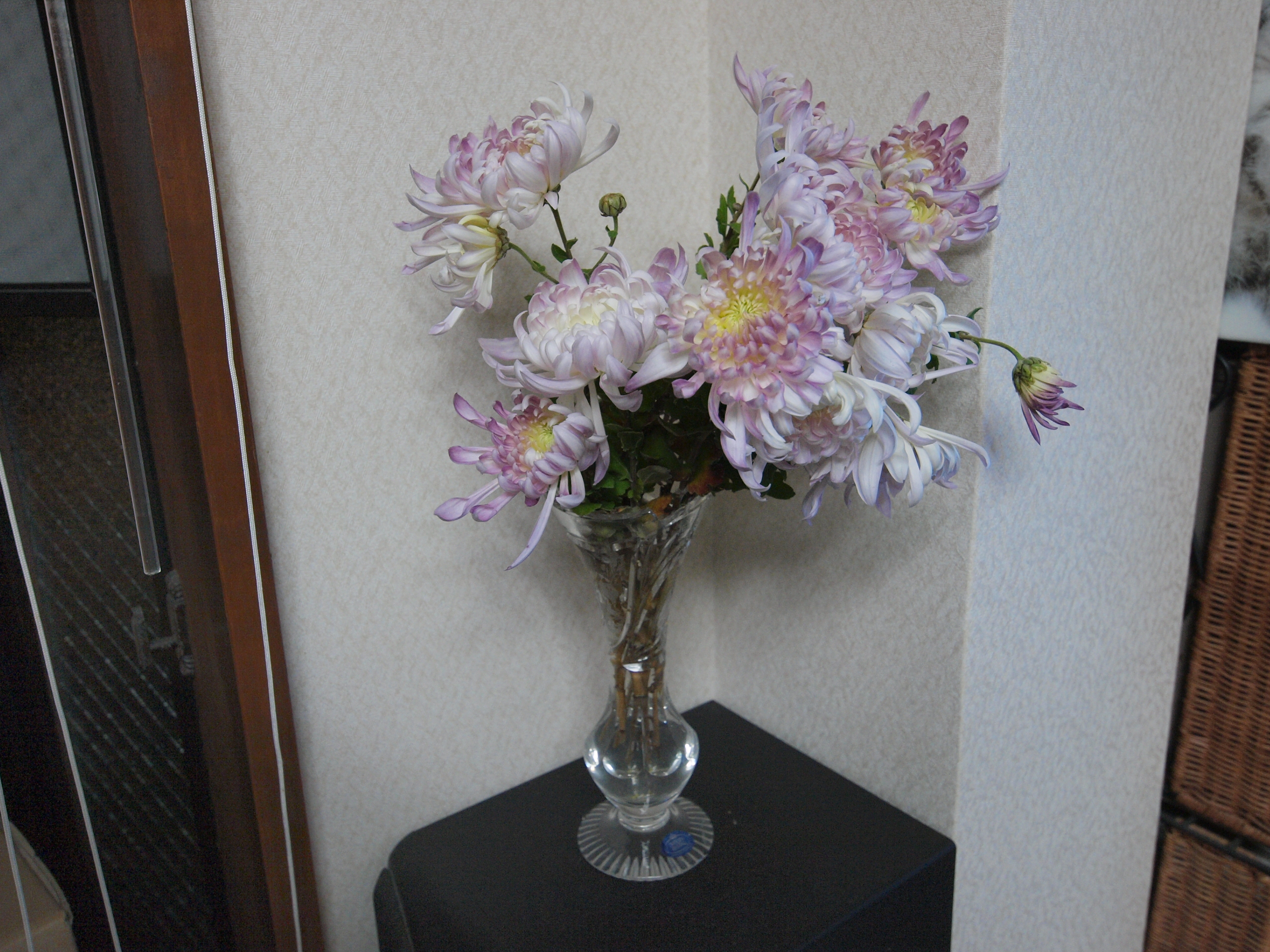 PC102481.JPG