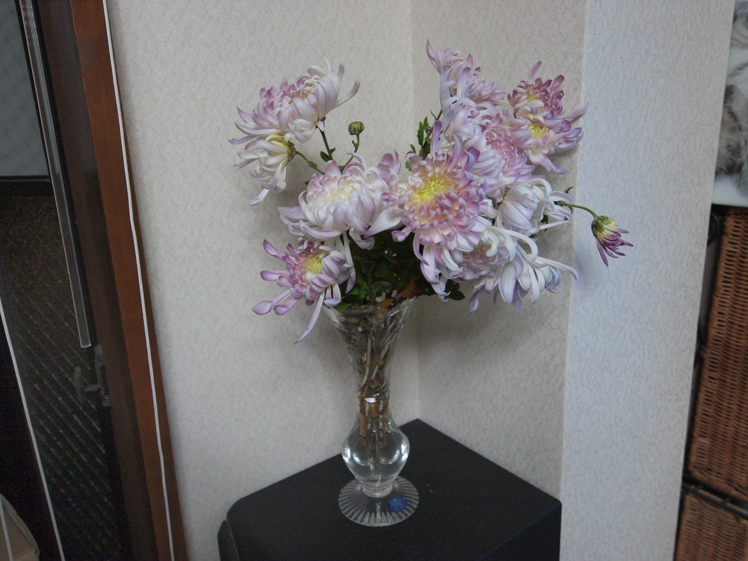 PC102482.JPG
