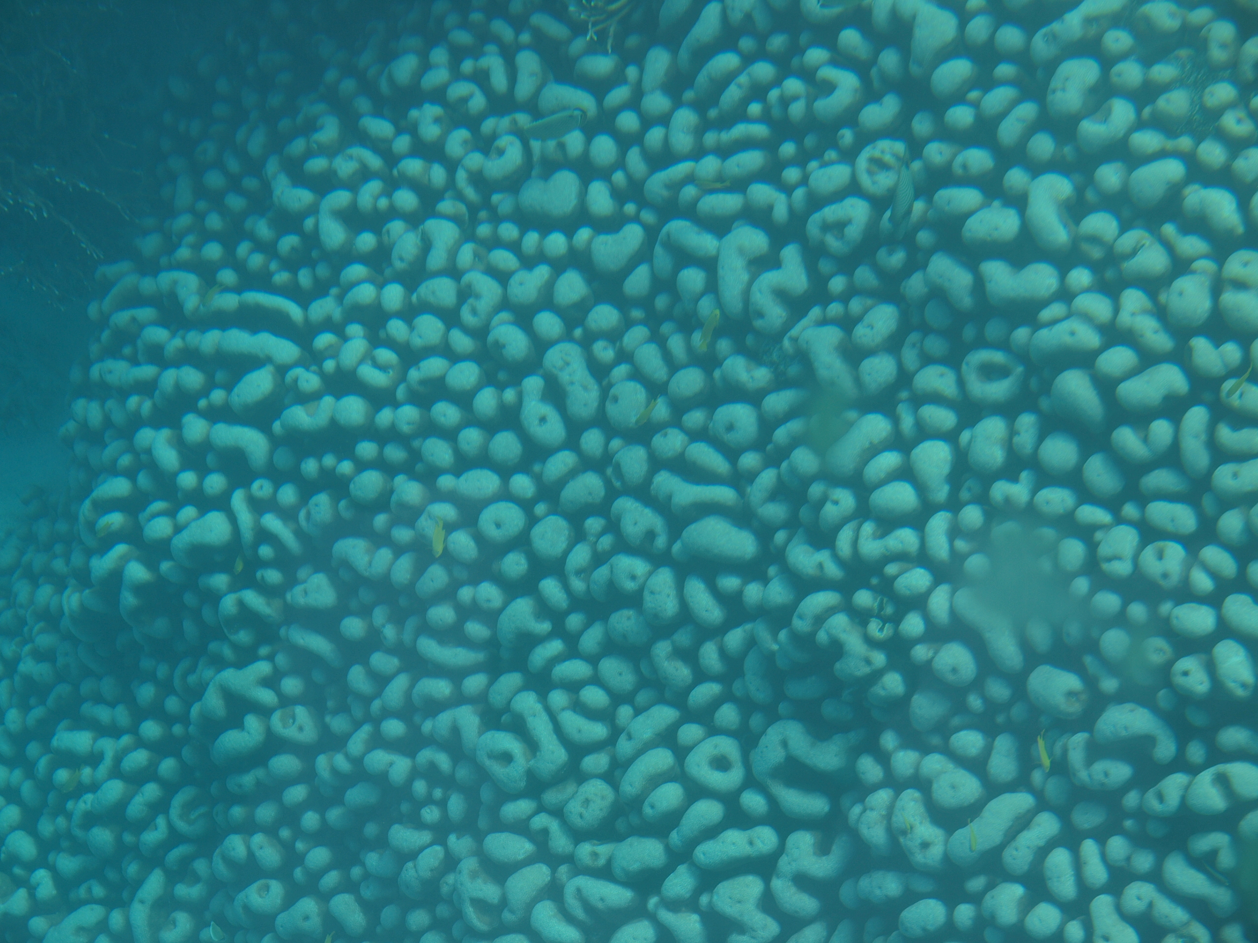 PC272545.JPG