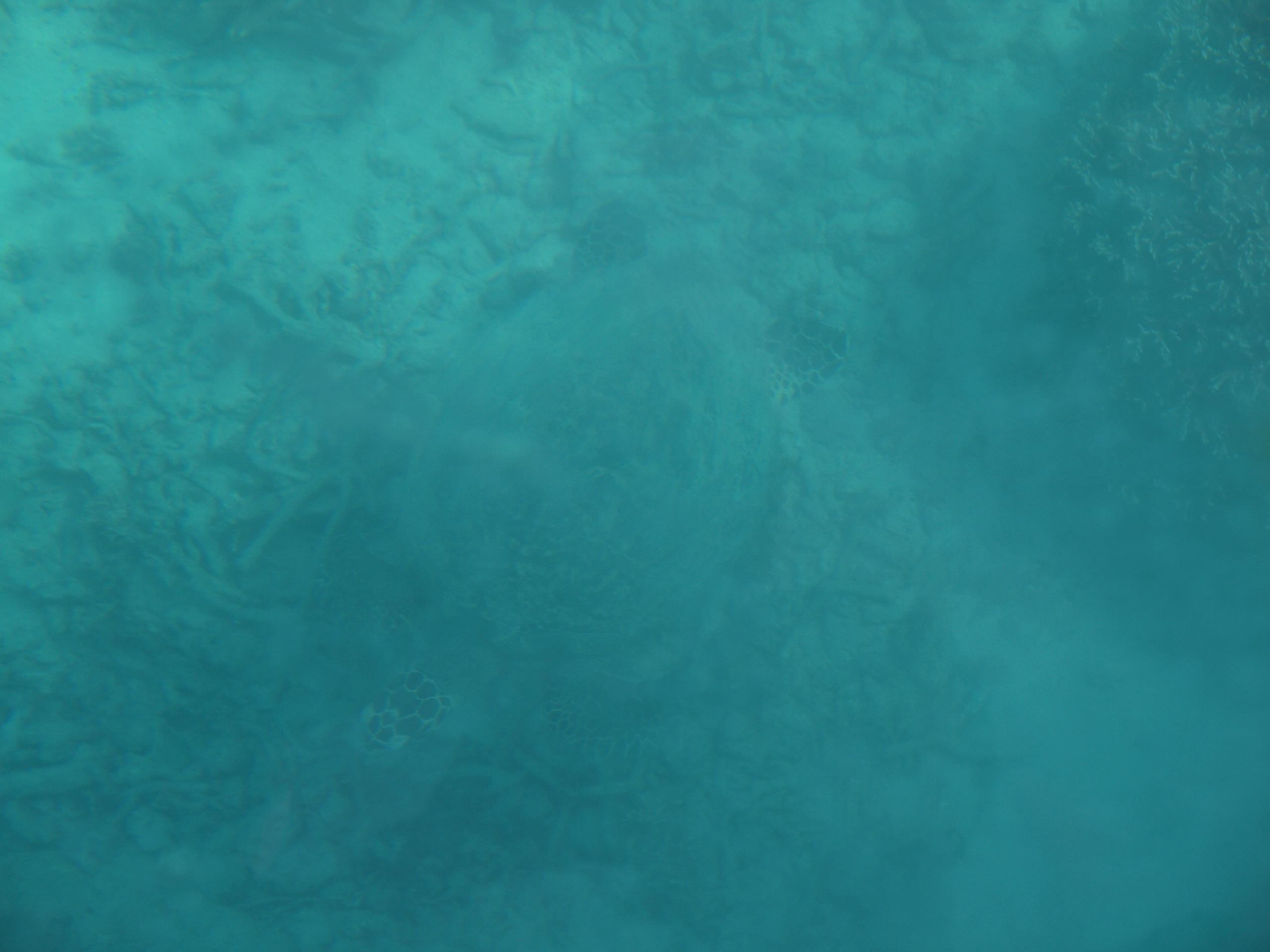 PC272547.JPG