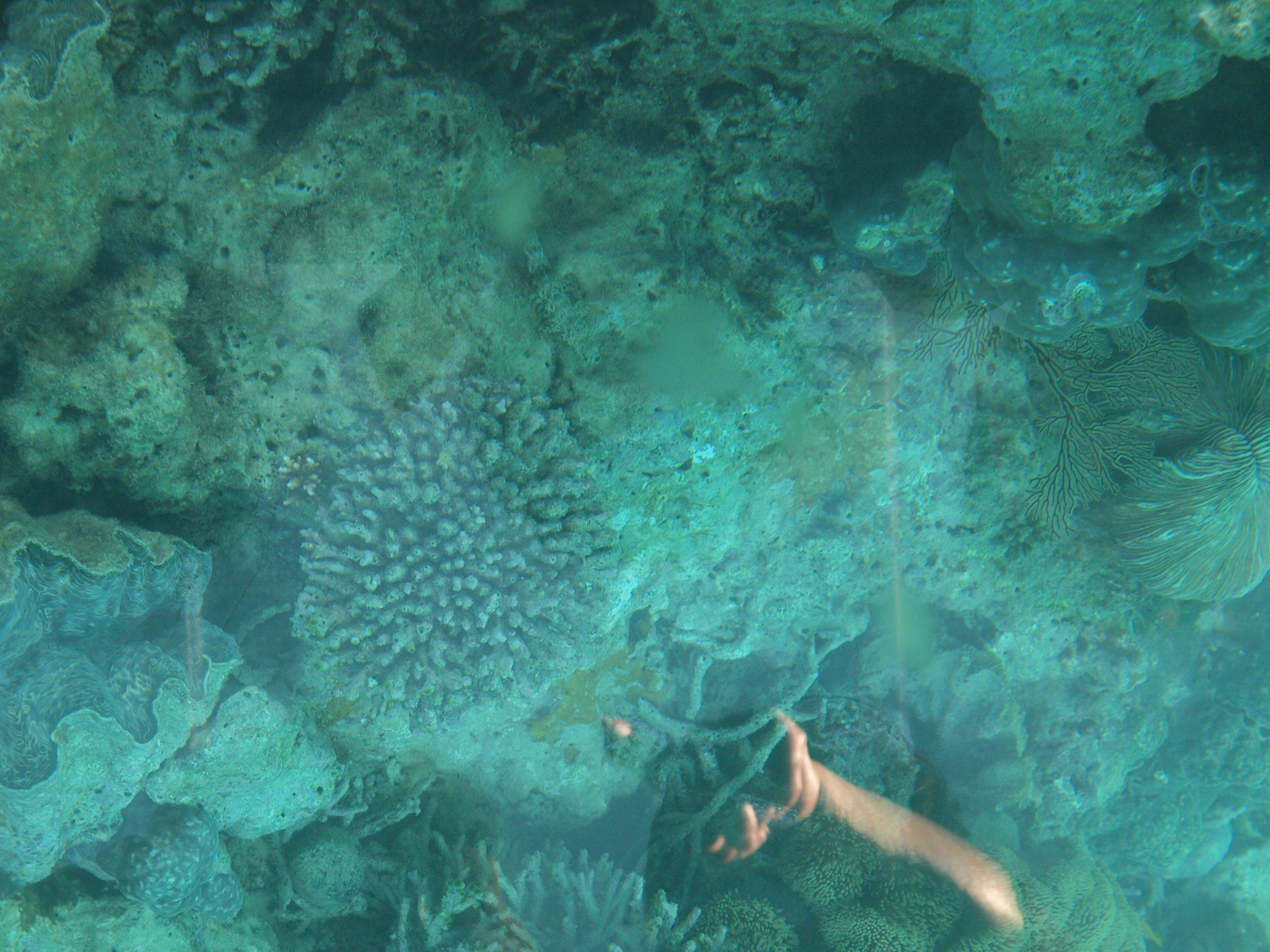 PC272551.JPG