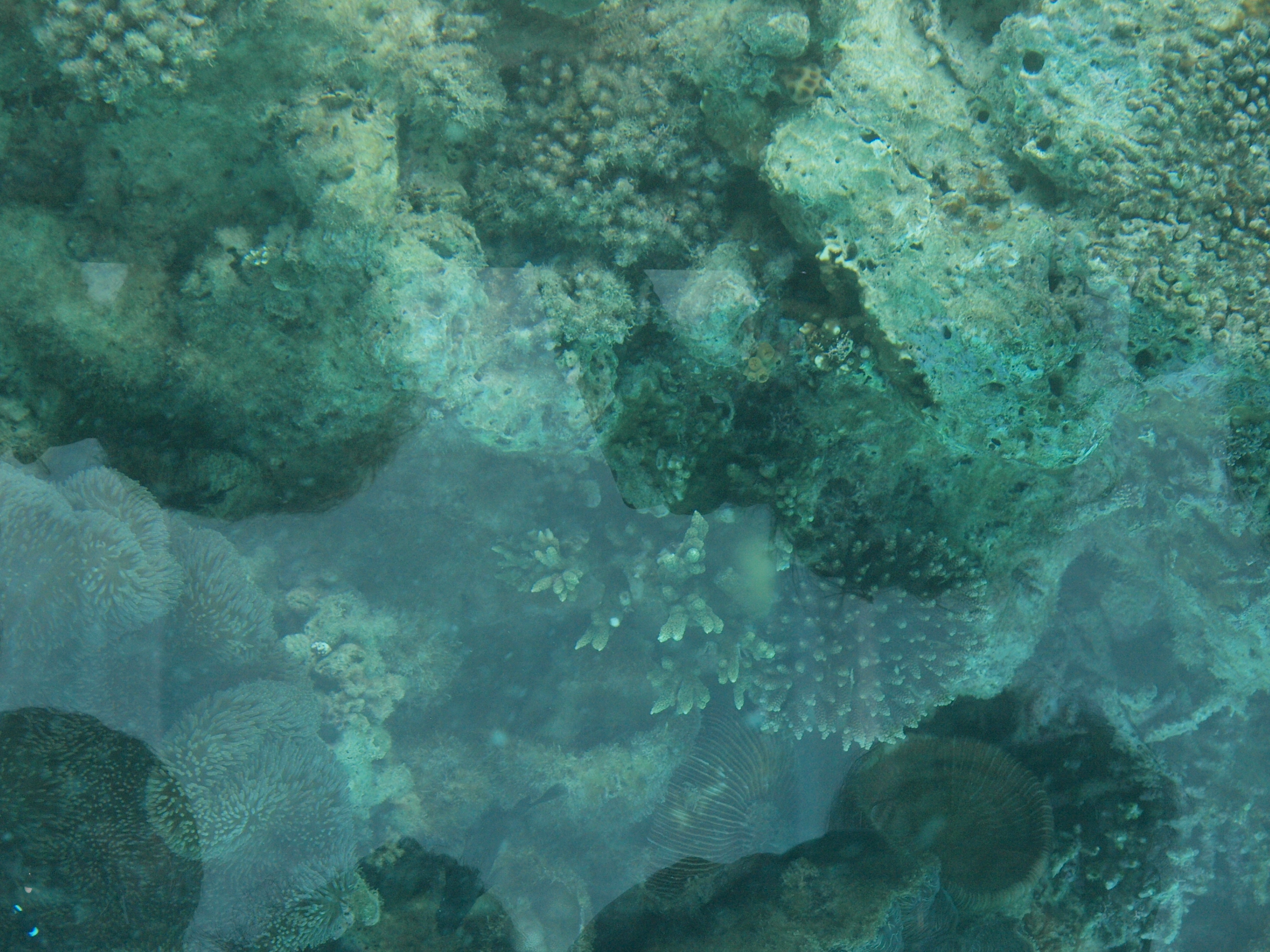 PC272554.JPG