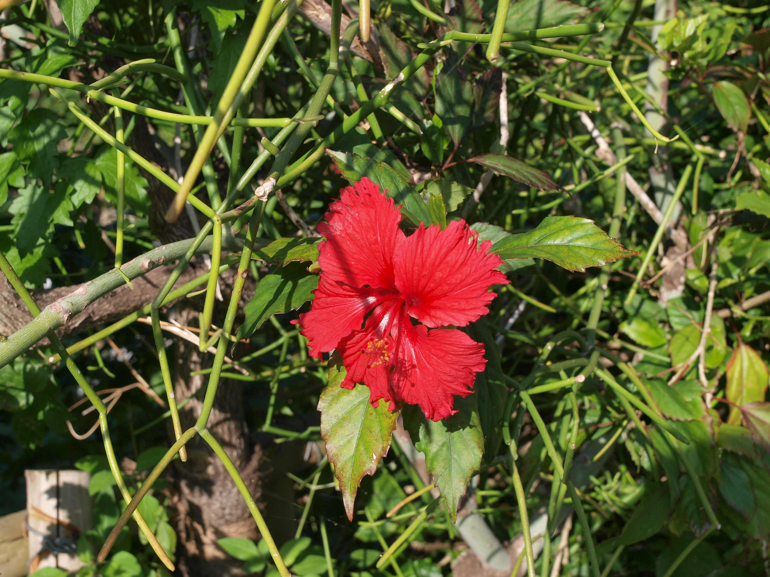 PC272562.JPG