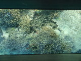 img0046.jpg