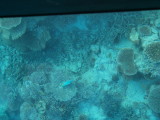 img0047.jpg