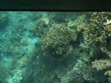 img0051.jpg