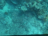 img0052.jpg