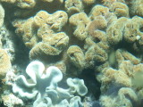 img0053.jpg