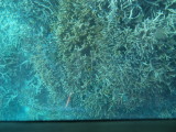 img0057.jpg