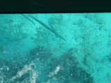 img0058.jpg