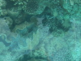 img0068.jpg