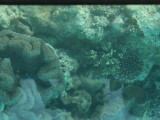 img0071.jpg